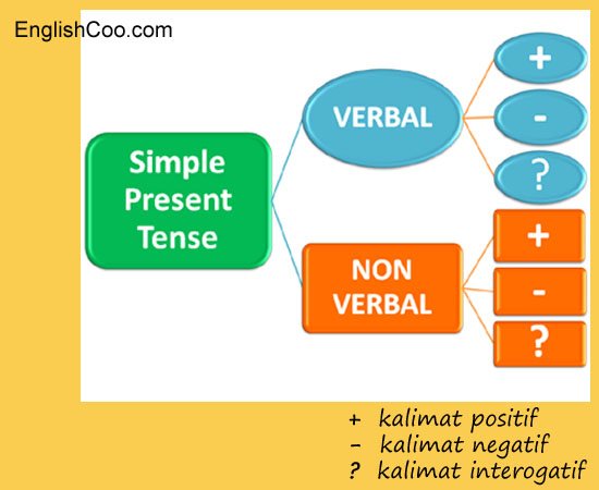 Contoh Kalimat Simple Past Tense Beserta Artinya Berbagai Contoh