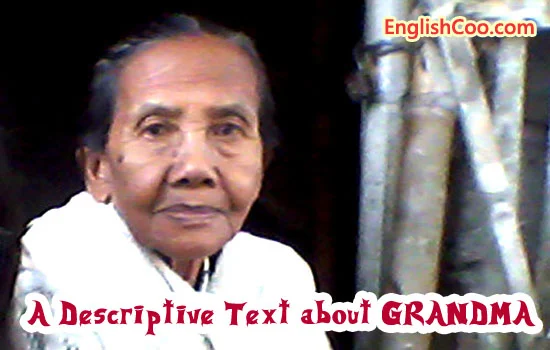 Contoh Descriptive Text tentang Seseorang yaitu Nenek