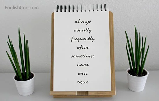 Keterangan Waktu untuk kalimat Simple Past Tense, always, usually, frequently, often, sometimes, never, once, twice