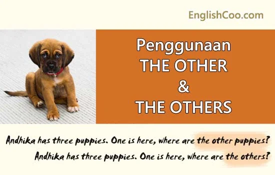 Penggunaan The Other dan The Others dalam Bahasa Inggris