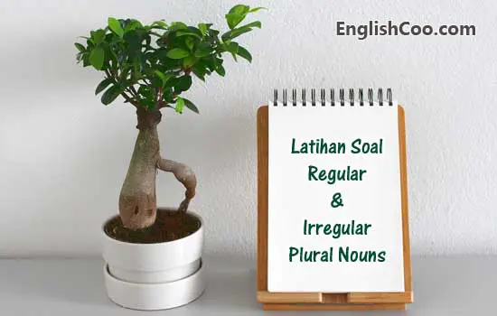 Contoh Soal Regular dan Irregular Plural Nouns dalam Bahasa Inggris Beserta Kunci Jawabannya