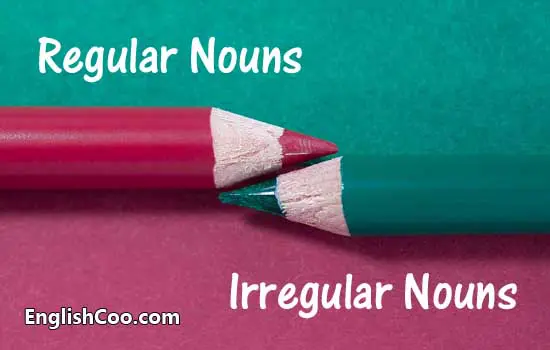 Kata Benda Beraturan (Regular Nouns) dan Kata Benda Tak Beraturan (Irregular Nouns)