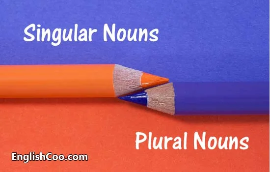 Kata Benda Tunggal (Singular Nouns) dan Kata Benda Jamak (Plural Nouns)