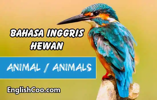 Bahasa Inggris Hewan