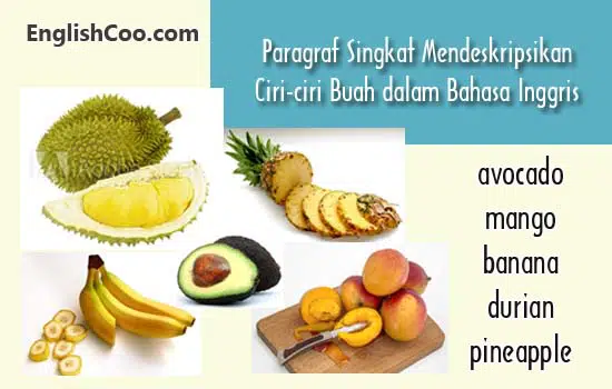 Paragraf Singkat Mendeskripsikan Ciri-ciri Buah dalam Bahasa Inggris
