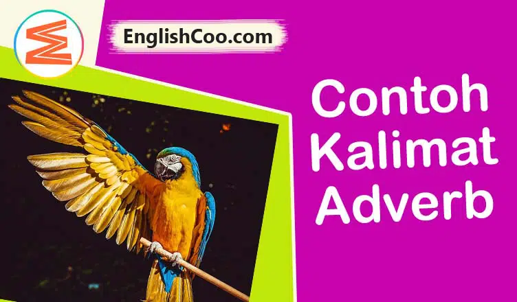 Contoh Kalimat Adverb dan Artinya Menggunakan Kata Keterangan Populer