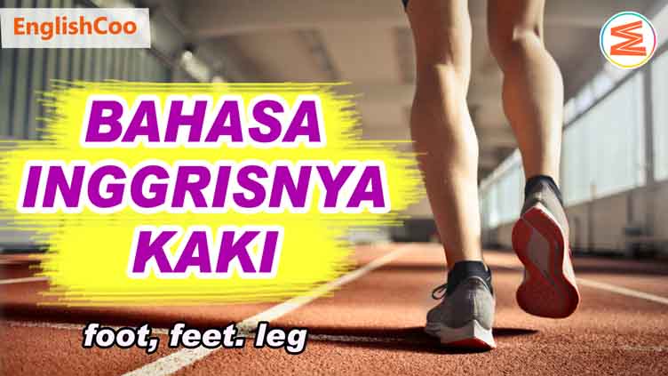 Bahasa Inggrisnya Kaki adalah foot, feet, leg. Di sini dibahas bedanya foot, feet, leg. Ada juga contoh kalimat bahasa Inggris dan artinya.