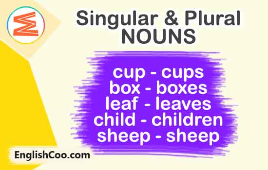 singular dan plural nouns kata benda tunggal dan jamak