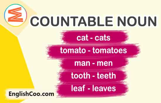 contoh countable noun dalam bahasa inggris dan artinya contoh kalimat kata benda singular plural