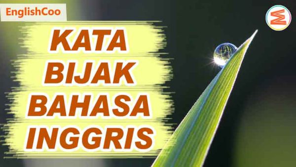 Kata Bijak Bahasa Inggris Terbaik Dan Artinya - EnglishCoo